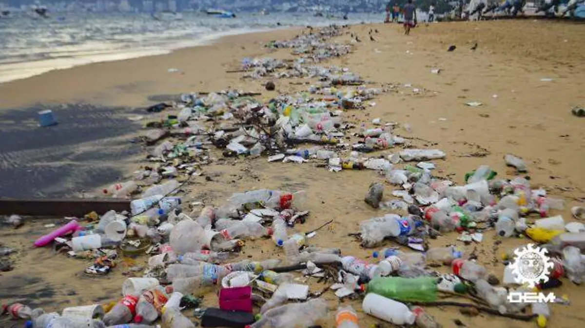 Acapulco -  Basura en la playa es más recurrente cada vez que llueve